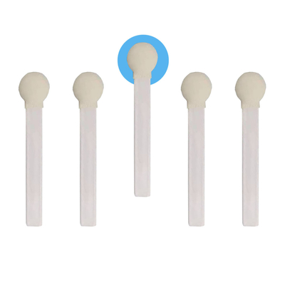 Penyeka Busa Kepala Bulat Tongkat PP Putih Diameter 30mm