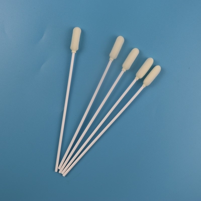 6mm Big Round Kepala Medis Steril Sampling Swab Disposable