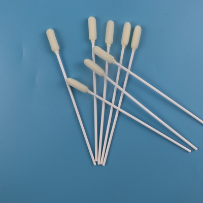 6mm Big Round Kepala Medis Steril Sampling Swab Disposable