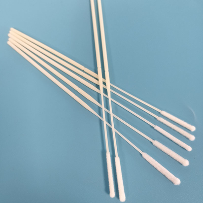 ABS Stick Flocked Nylon Nasal Swab Sampel Pengumpulan Swab Dengan Titik Patah Dibungkus Secara Individual