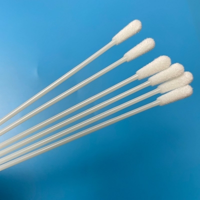 145mm panjang OEM sekali pakai steril Swab Tidak ada titik putus 6mm Kepala Pengumpulan Swab