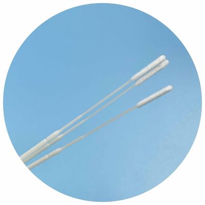 Steril EO Gas Sampling Swab dengan Nylon Flocked Tip - 150mm Panjang, Breakpoint Design, CE Certified untuk Uji Medis/Pharmaceutical