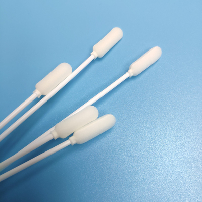 ODM 14cm PP Tongkat Spons Kepala Sampel Sekali Pakai Swab