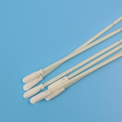 15cm Medis Steril Busa Tip Oral Sampling Berbondong-bondong Swab Dengan ABS Stick