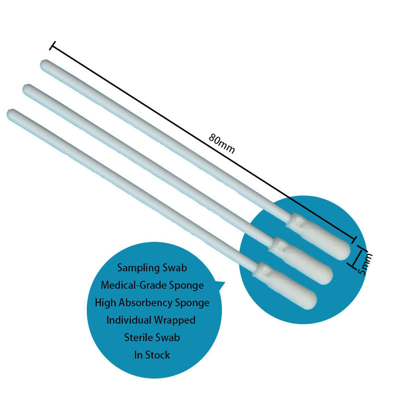 8cm Disposable White PP Stick Steril Foam Tip Swab Permukaan Sampling Swab Oral Swab Sampel Pengumpulan Swab dengan Pengemasan Individu